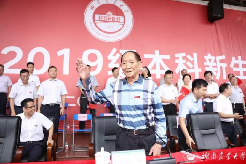 望牛墩复印机租赁