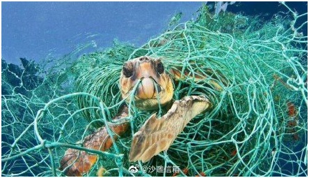 东莞东坑打印机租赁